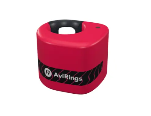 AviRings Highflyer Pigeon Ring I AviRings.com